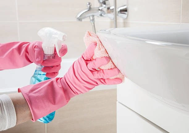 Detail deep cleaning services in Pitt Meadows bathroom